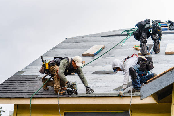 Professional Roofing technician working in Olyphant, PA